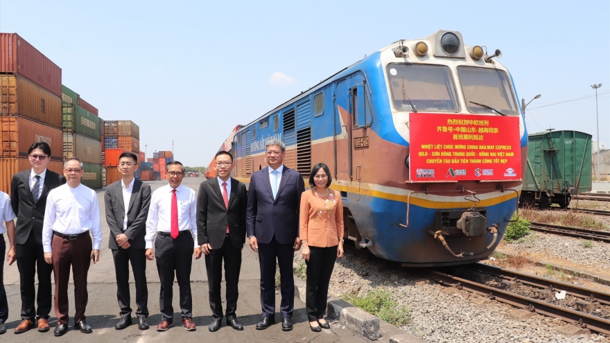 Dong Nai welcomes first freight train from China
